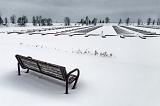 Bench Overlooking Winter Marina_DSCF03914